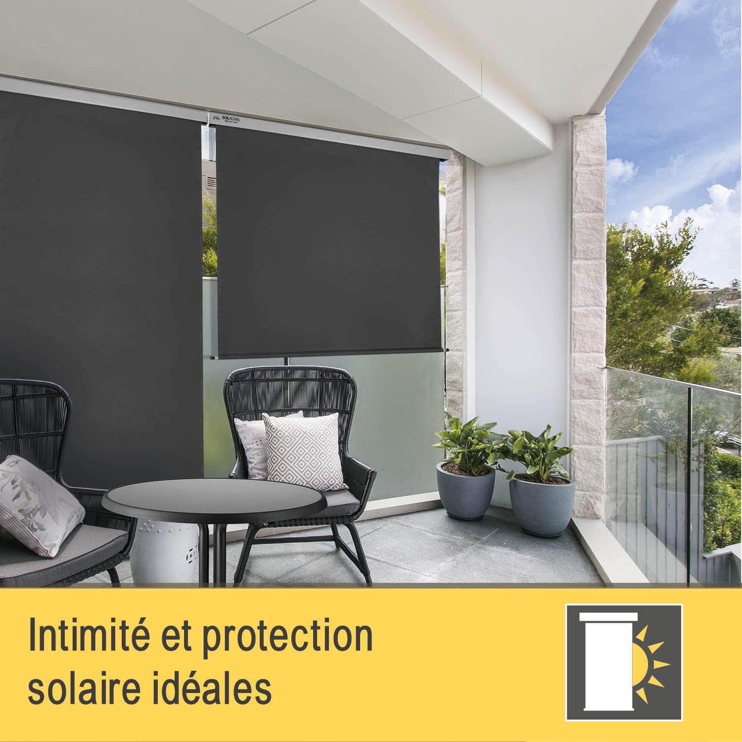 Store Vertical 160x250 cm MS5 Store - Brise-Vue de Balcon Robuste Manivelle Amovible Protection Solaire Hydrofuge Terrasse Balcon Jardin résistant aux intempéries Anthracite 160l x 250L cm Anthracite