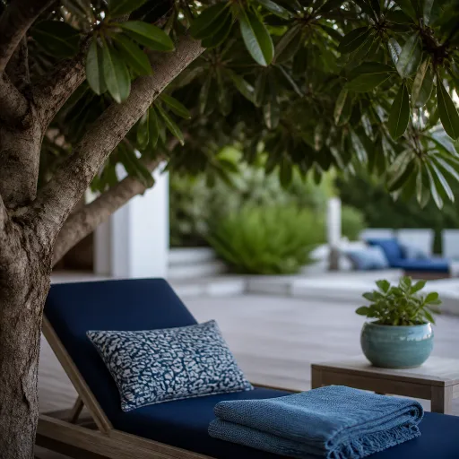 Arbre parasol au jardin : créer une ombre dense et élégante pour vivre dehors